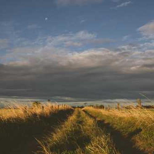 Фунгіцид Натіво від постачальника Аграрна Платформа