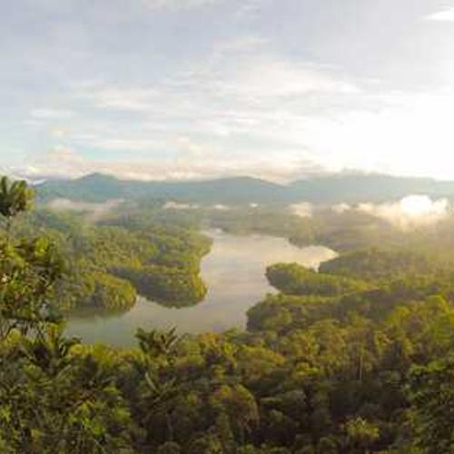 Інсектицид Фастак від постачальника Аграрна Платформа