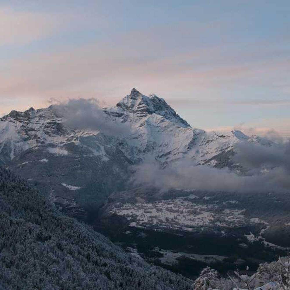 Гербіцид Агрітокс від постачальника Аграрна Платформа