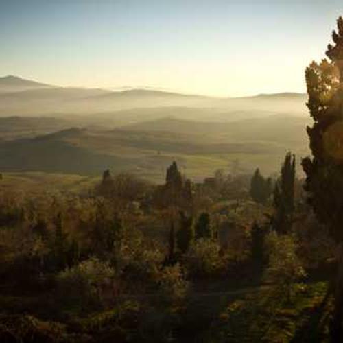 Гербіцид Діанат від постачальника Аграрна Платформа