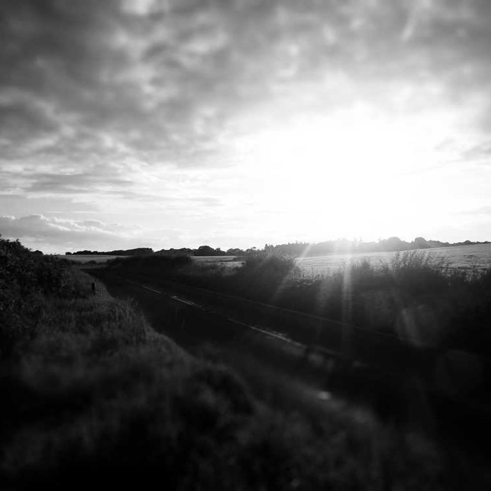 Насіння соняшнику МАС 92.КП (MAS 92.CP) від постачальника Аграрна Платформа