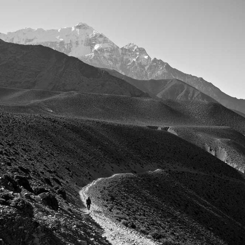 Регулятор росту Карамба Турбо від постачальника Аграрна Платформа