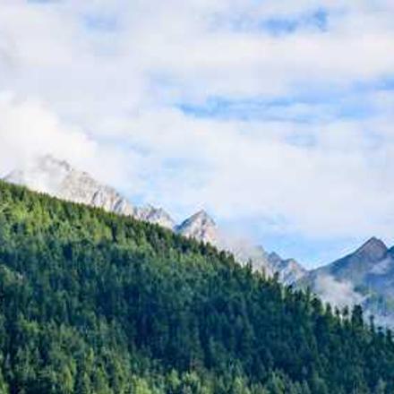 Види і особливості застосування органічних і мінеральних добрив