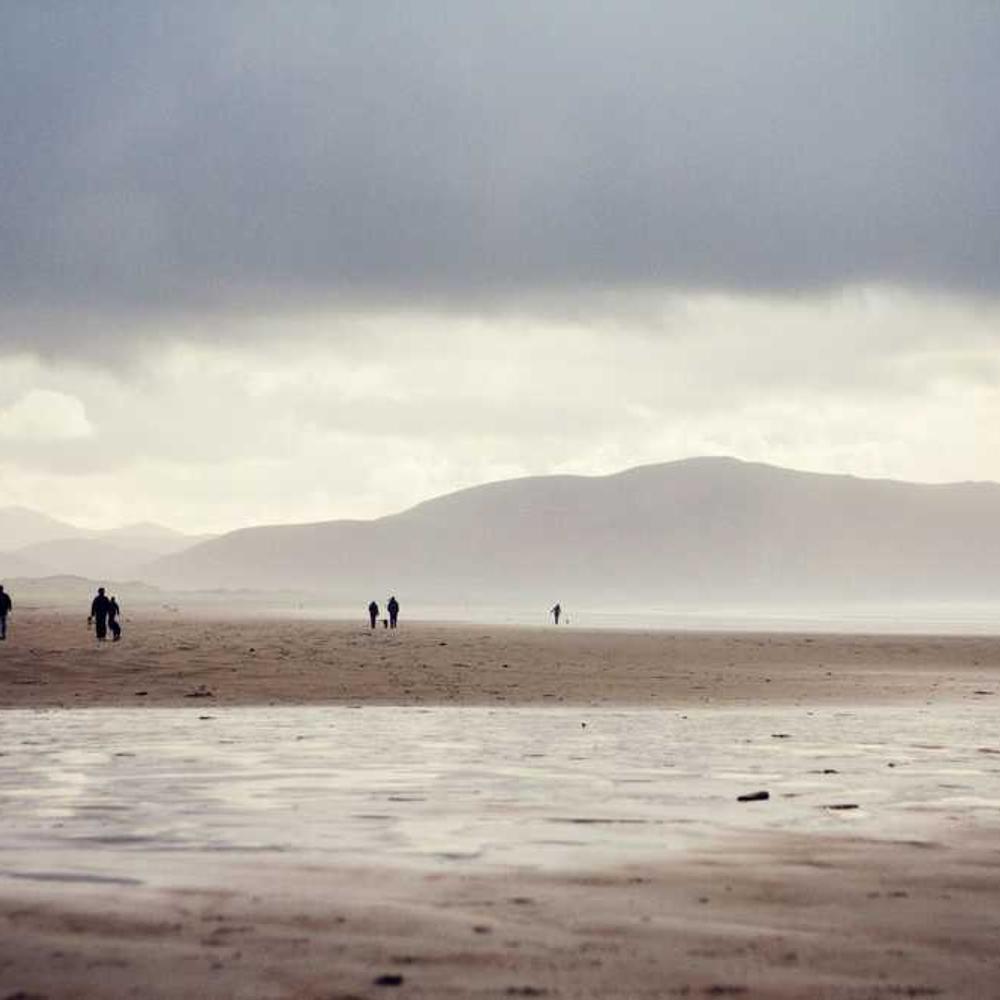 Фунгіцид Фолікур від постачальника Аграрна Платформа