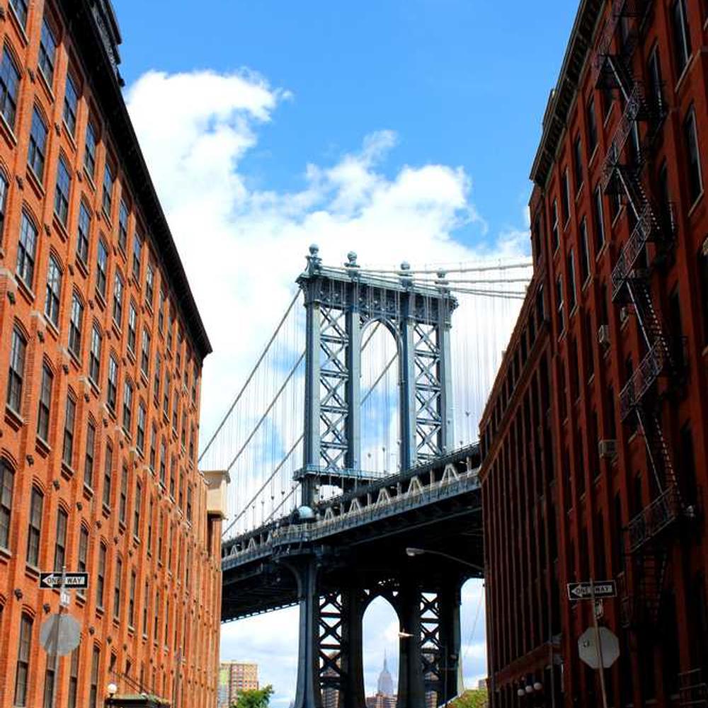 Інсектицид Регент 20 G від постачальника Аграрна Платформа