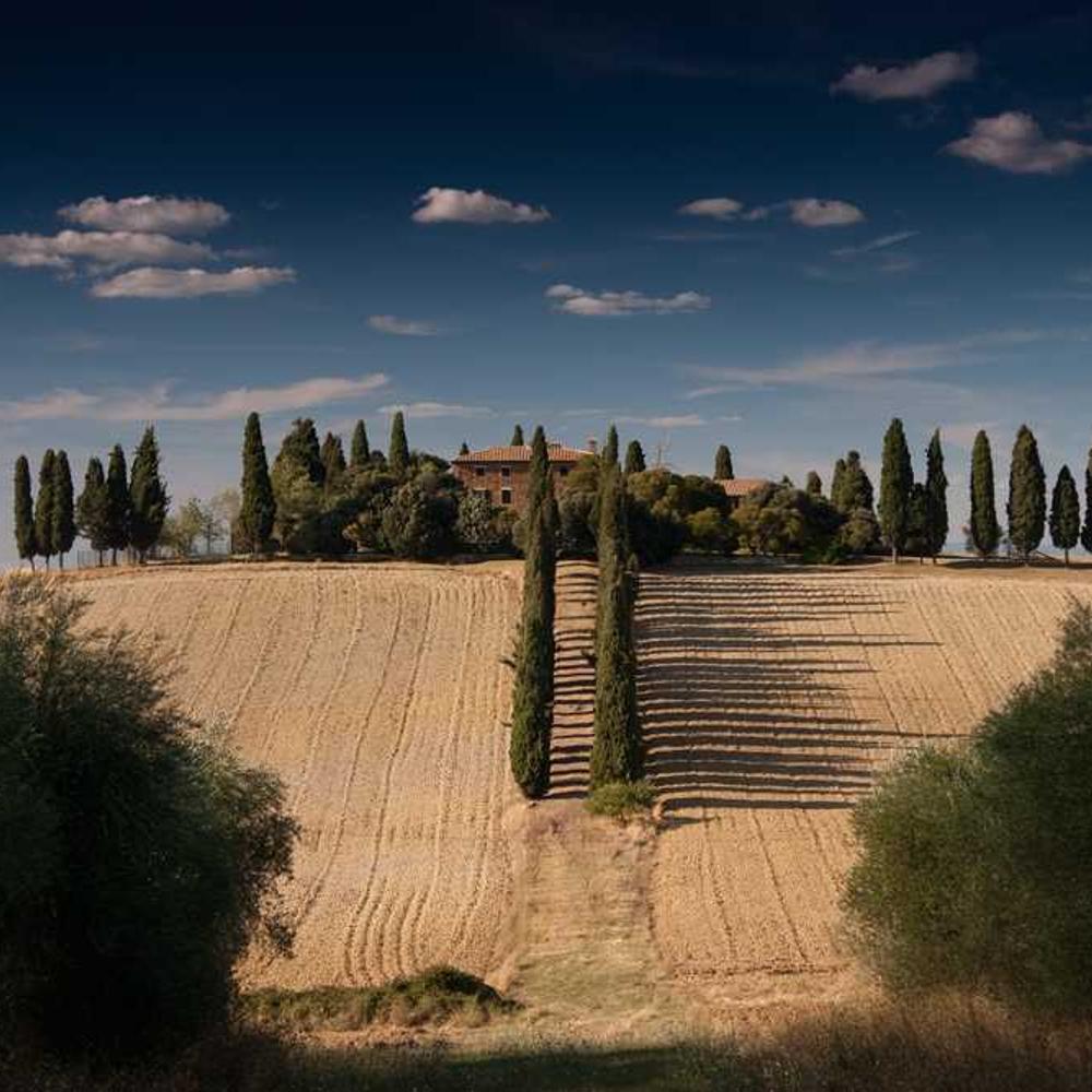 Гербіцид Дуал Голд від постачальника Аграрна Платформа