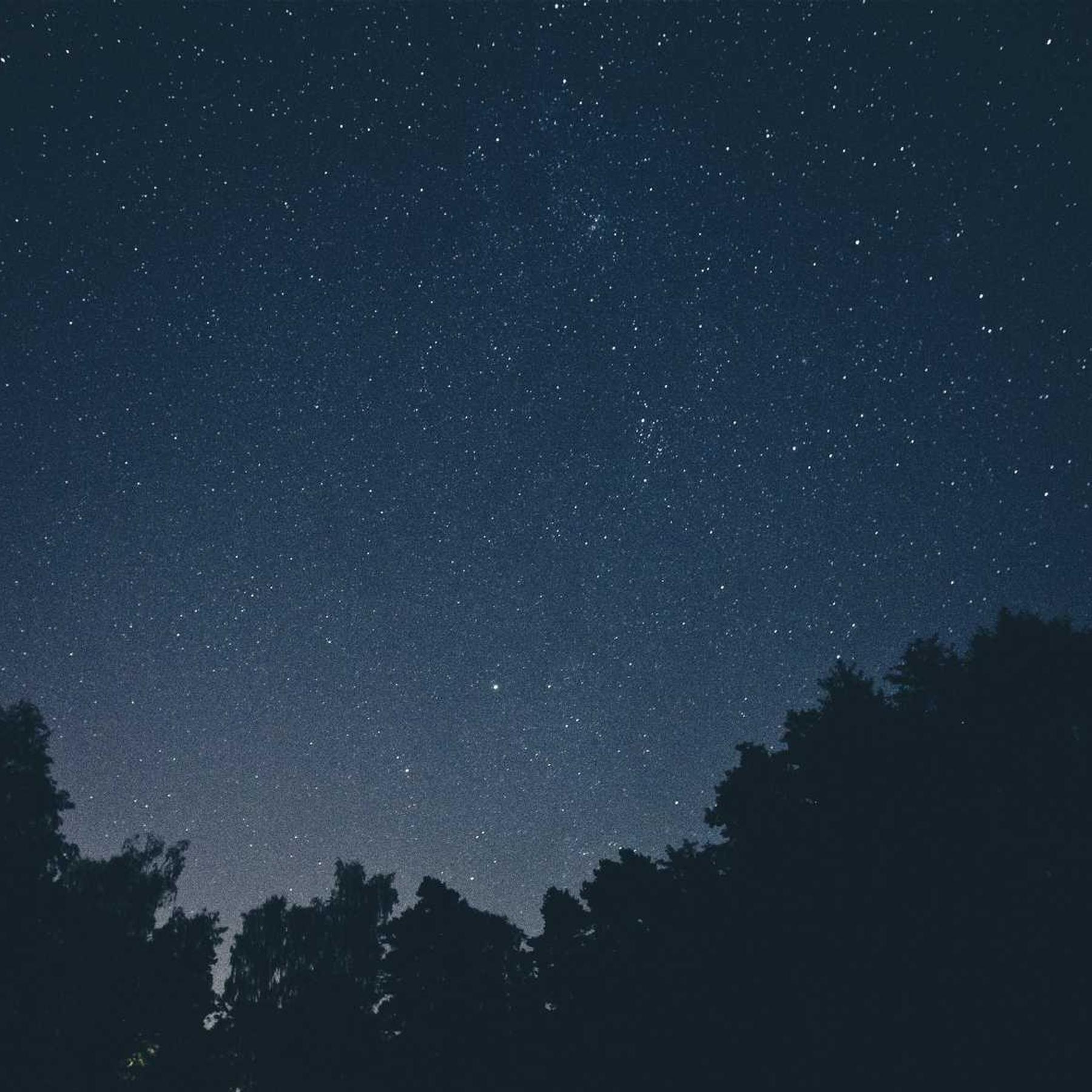 Напрямки Бізон-Тех