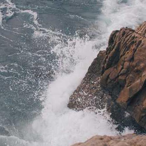 Інсектицид Проклейм від постачальника Аграрна Платформа