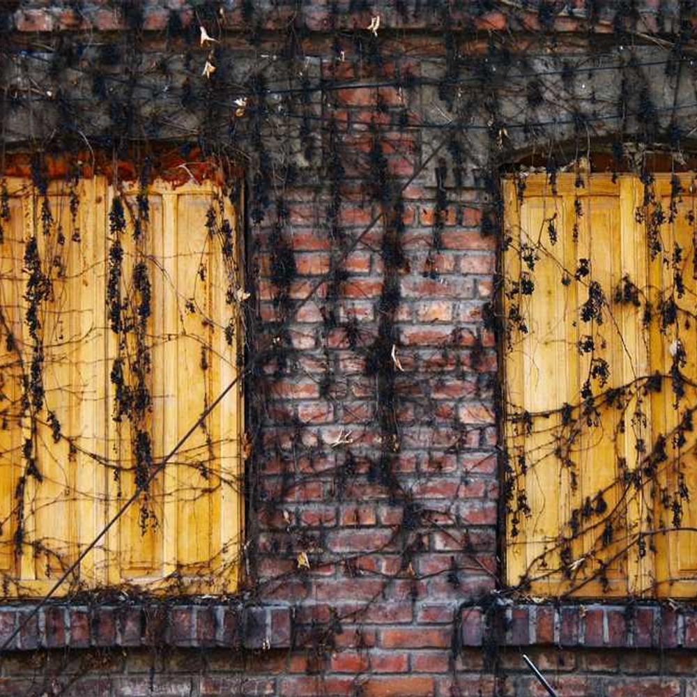 Гербіцид Логран від постачальника Аграрна Платформа