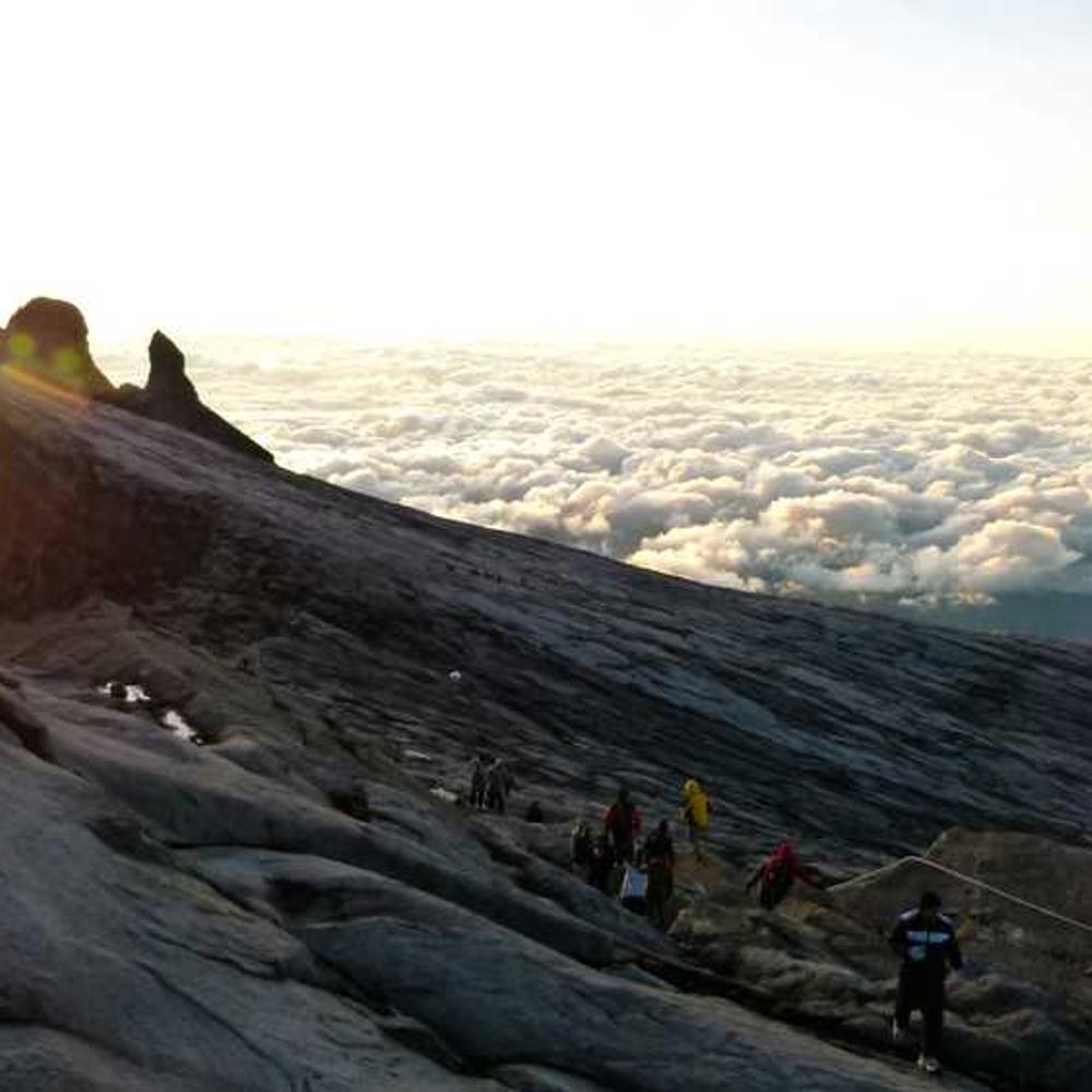 Гербицид Фюзилад Форте 150 ЕС от Сингента