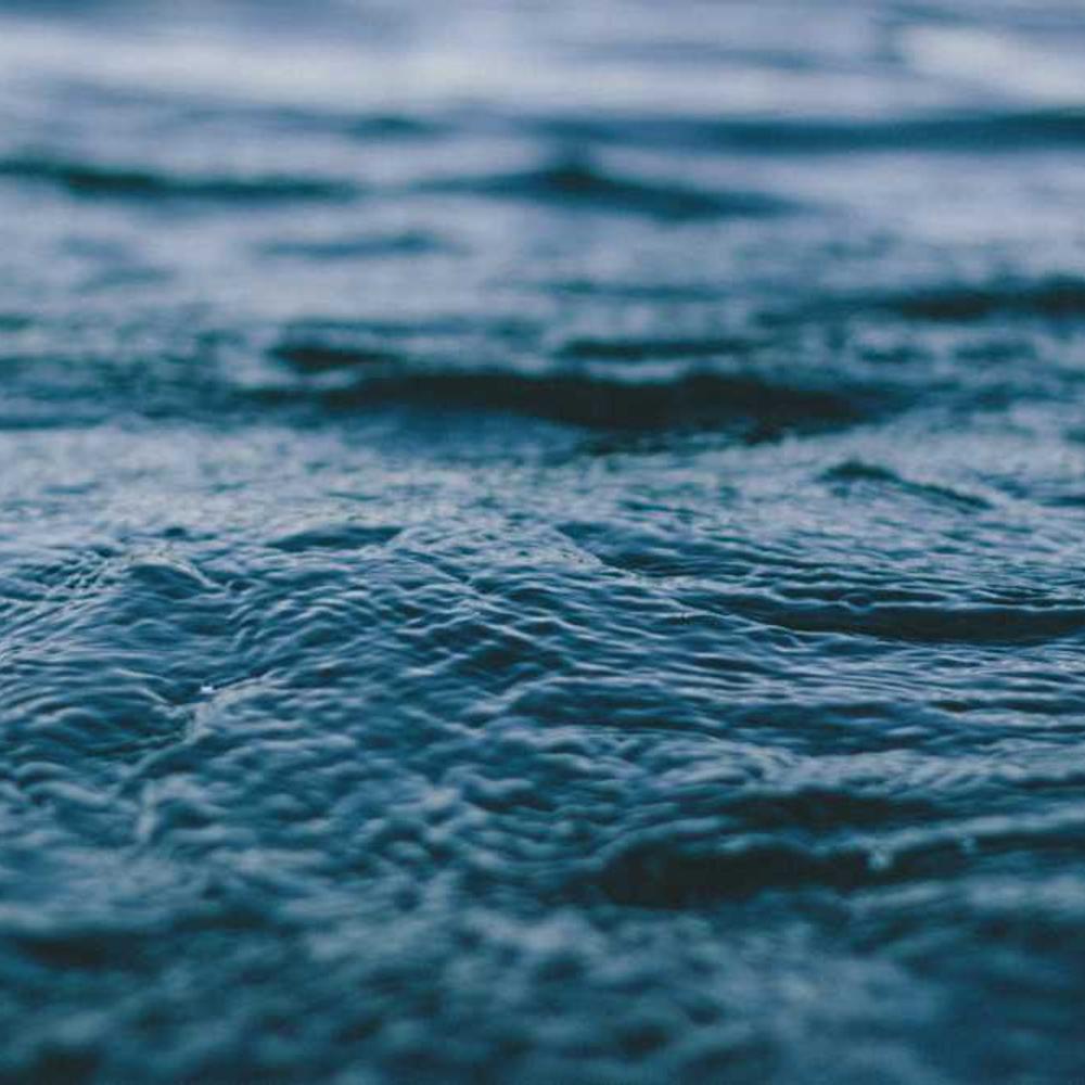 Інсектицид Каліпсо від постачальника Аграрна Платформа