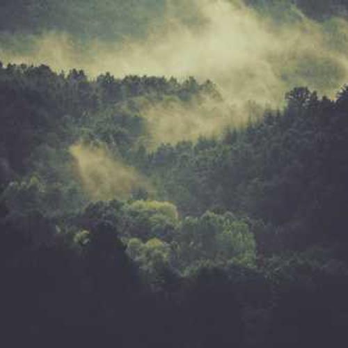 Інсектециди від Бізон-Тех