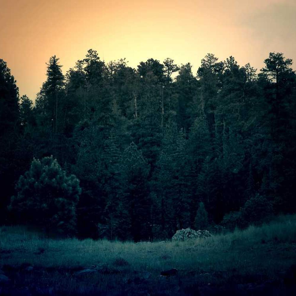 Десикант Реглон Ейр від постачальника Аграрна Платформа