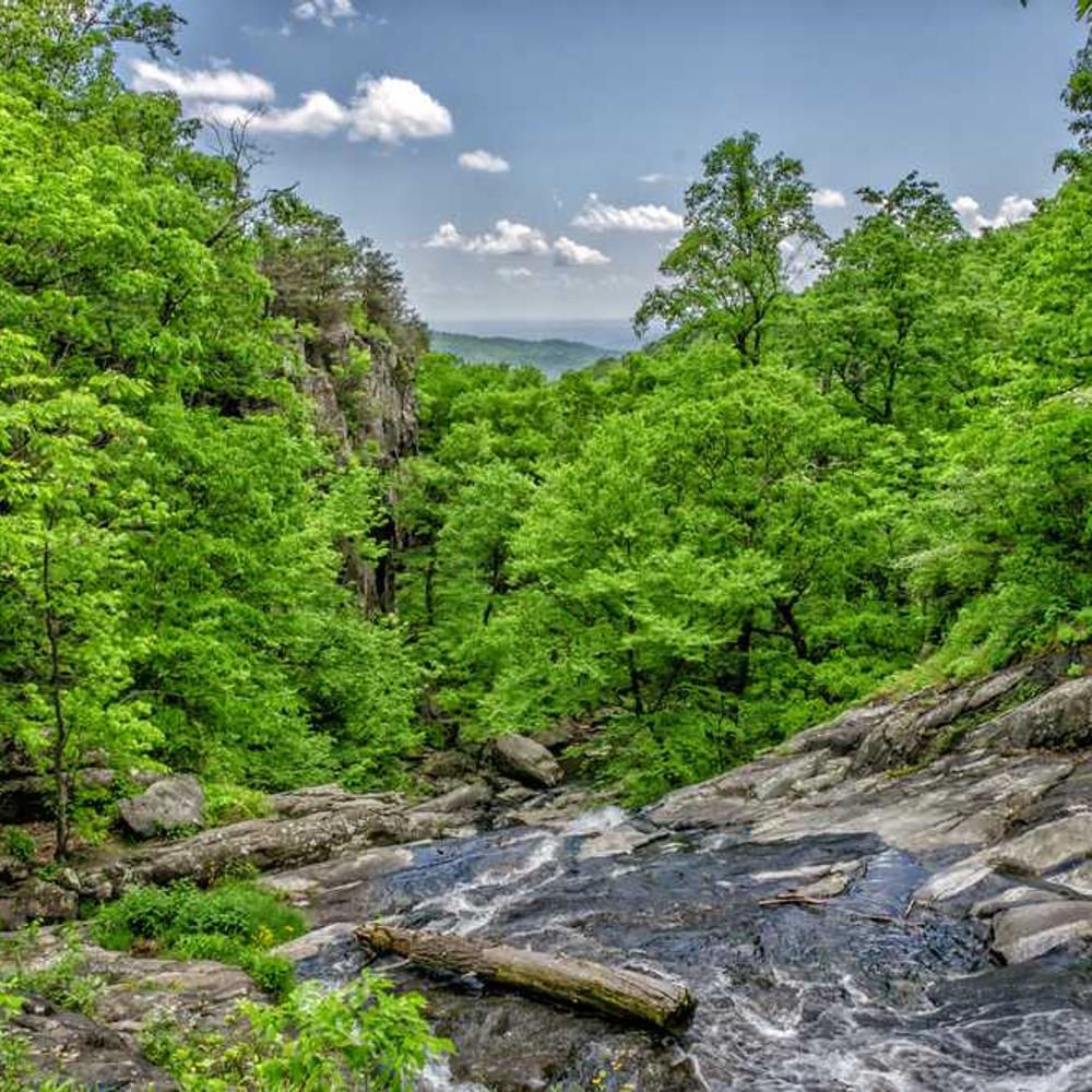 Фунгіцид Пріаксор від постачальника Аграрна Платформа