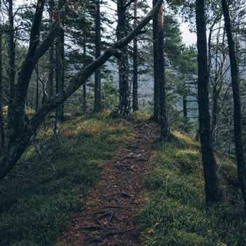 Фунгіцид Пріаксор від постачальника Аграрна Платформа