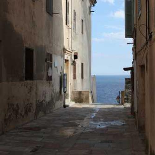 Фунгіцид Тіовіт Джет від постачальника Аграрна Платформа