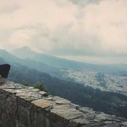 Інсектицид Вертимек від постачальника Аграрна Платформа