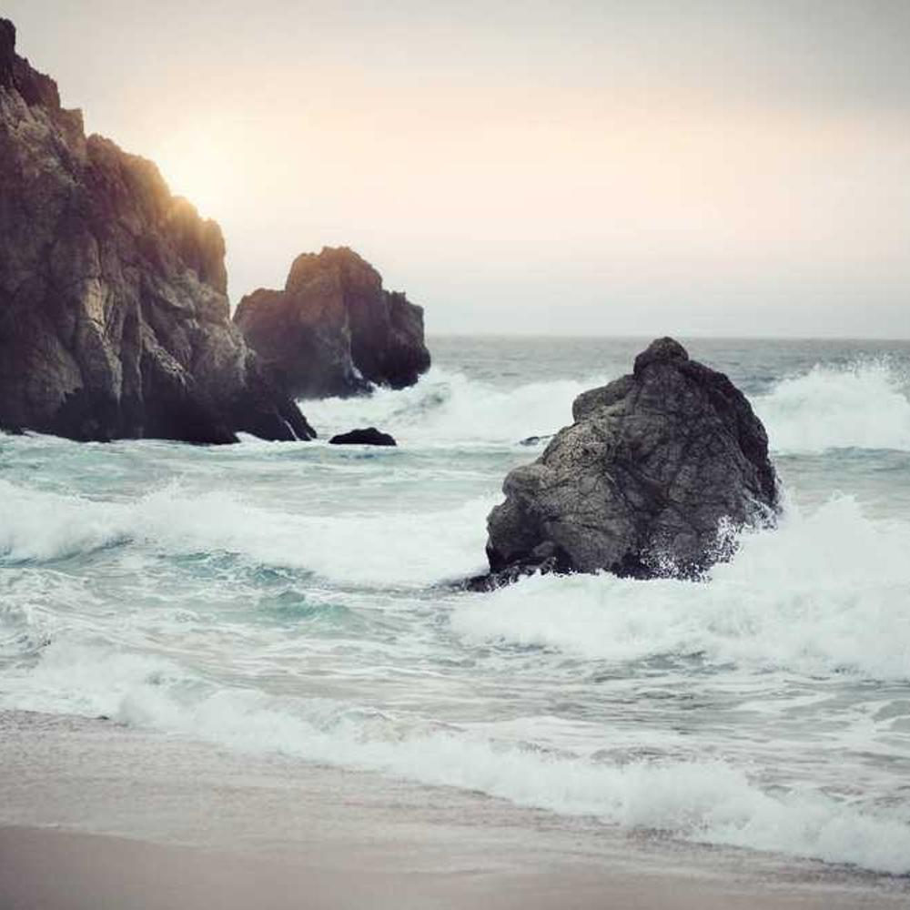 Насіння соняшнику Алькантара (Alkantara) від постачальника Аграрна Платформа