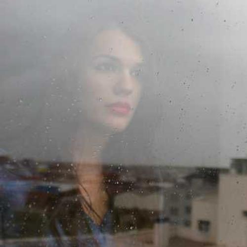 Насіння соняшнику Алькантара (Alkantara) від постачальника Аграрна Платформа