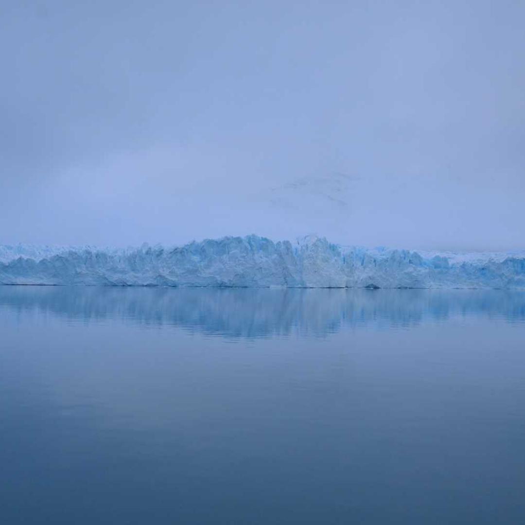 Насіння соняшнику МАС 85.СУ (MAS 85.SU) від Бізон-Тех