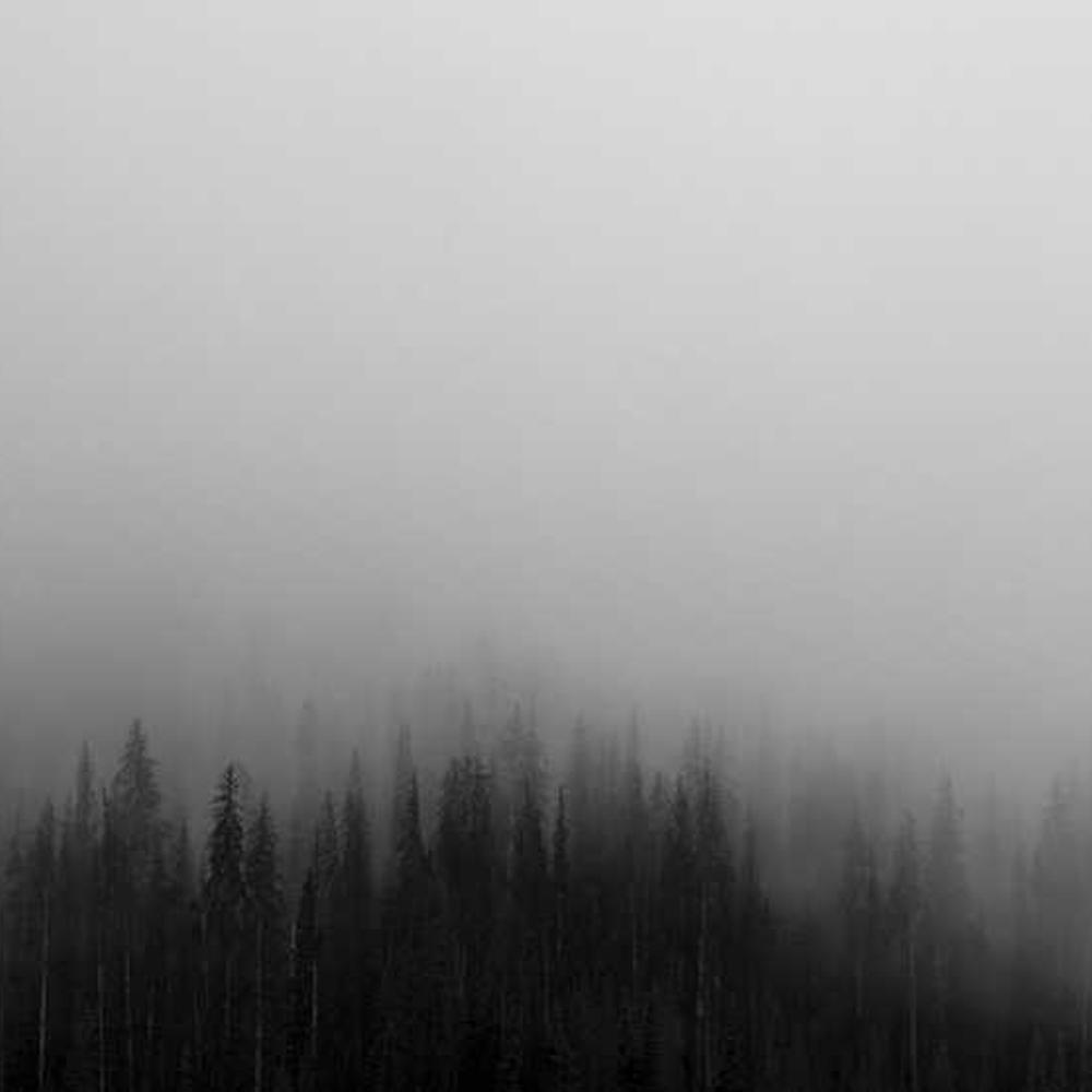 Протравитель Апрон XL 350 ЕS от Сингента