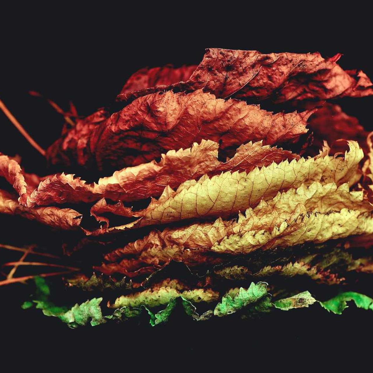 Широкий вибір препаратів