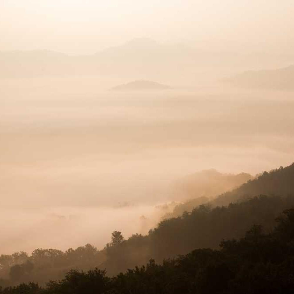Фунгіцид Топсін-М від постачальника Аграрна Платформа