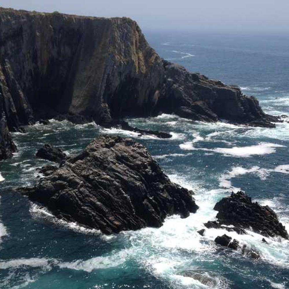 Протруйник Престиж від постачальника Аграрна Платформа