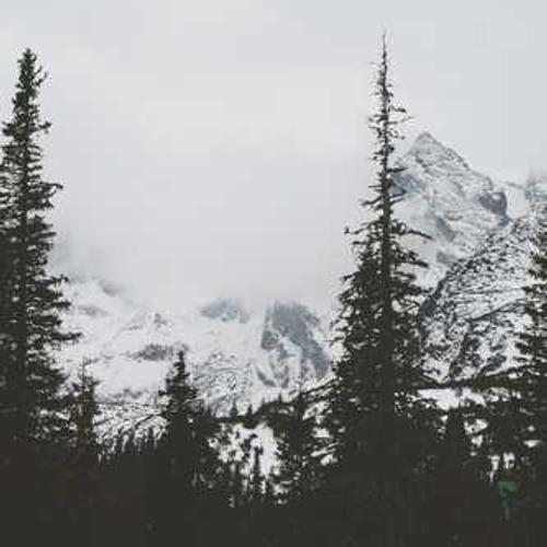 Комбінований набір фунгіцидів Орбіт Комбі від постачальника Аграрна Платформа