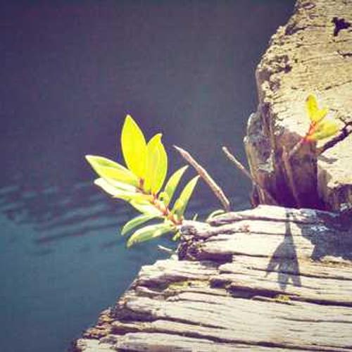 Фунгіцид Серкадіс Плюс від постачальника Аграрна Платформа