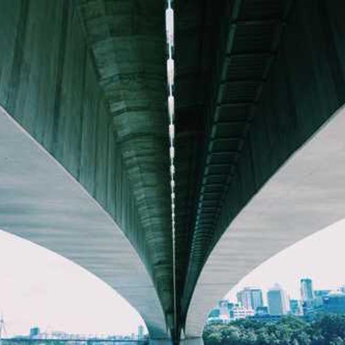 Гібрид кукурудзи МАС 30.М (MAS 30.M) від постачальника Аграрна Платформа