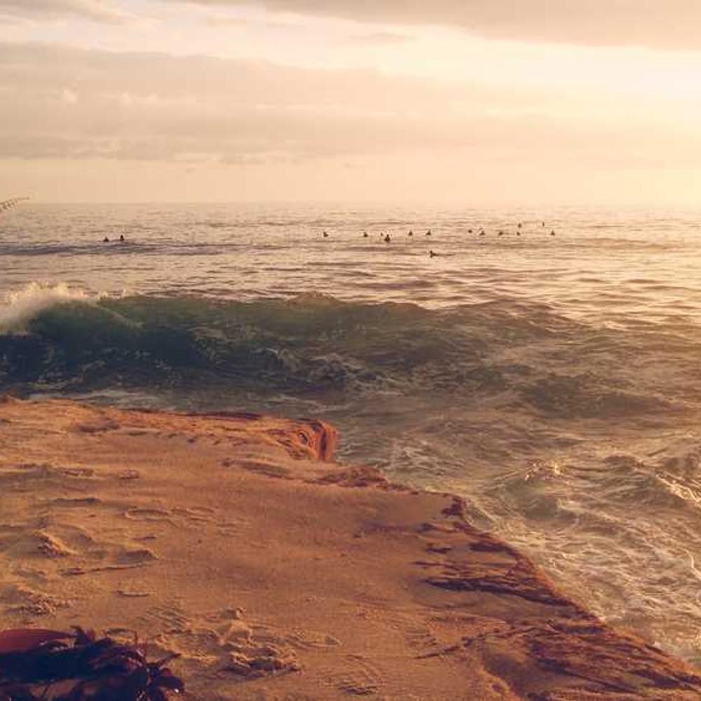 Гербіцид Корум від постачальника Аграрна Платформа