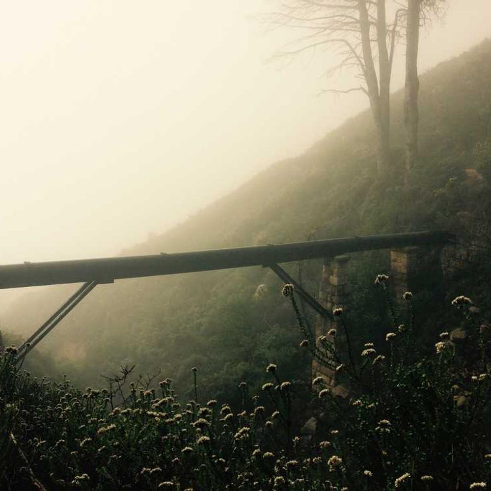 Комбінований набір фунгіцидів Макас Комбі від постачальника Аграрна Платформа