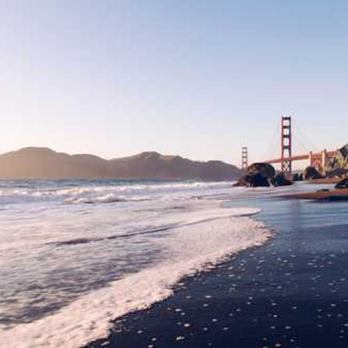 Насіння соняшнику НК Рокі (NK Rocky) від постачальника Аграрна Платформа