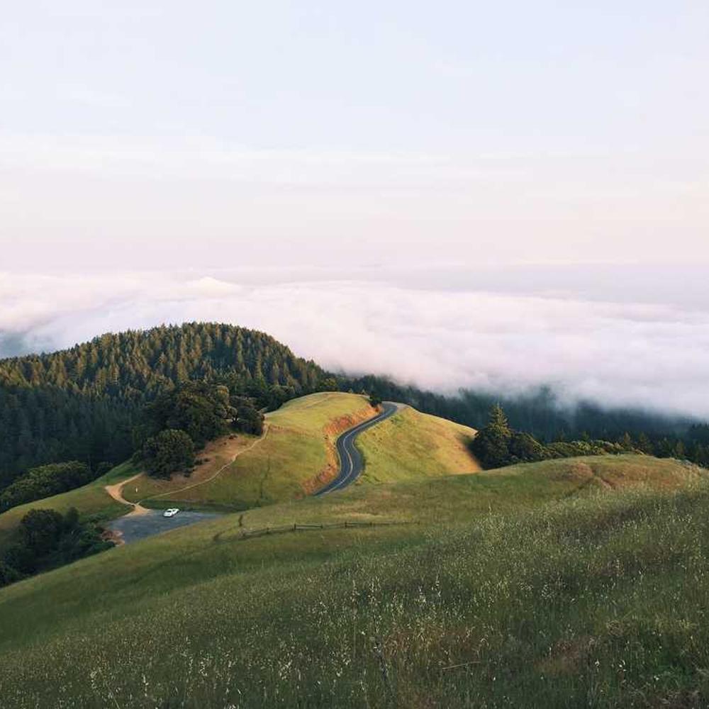 Стабілізатор азоту N-ЛОК МАКС від постачальника Аграрна Платформа