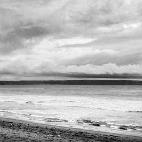 Гербіцид Таск Екстра від постачальника Аграрна Платформа