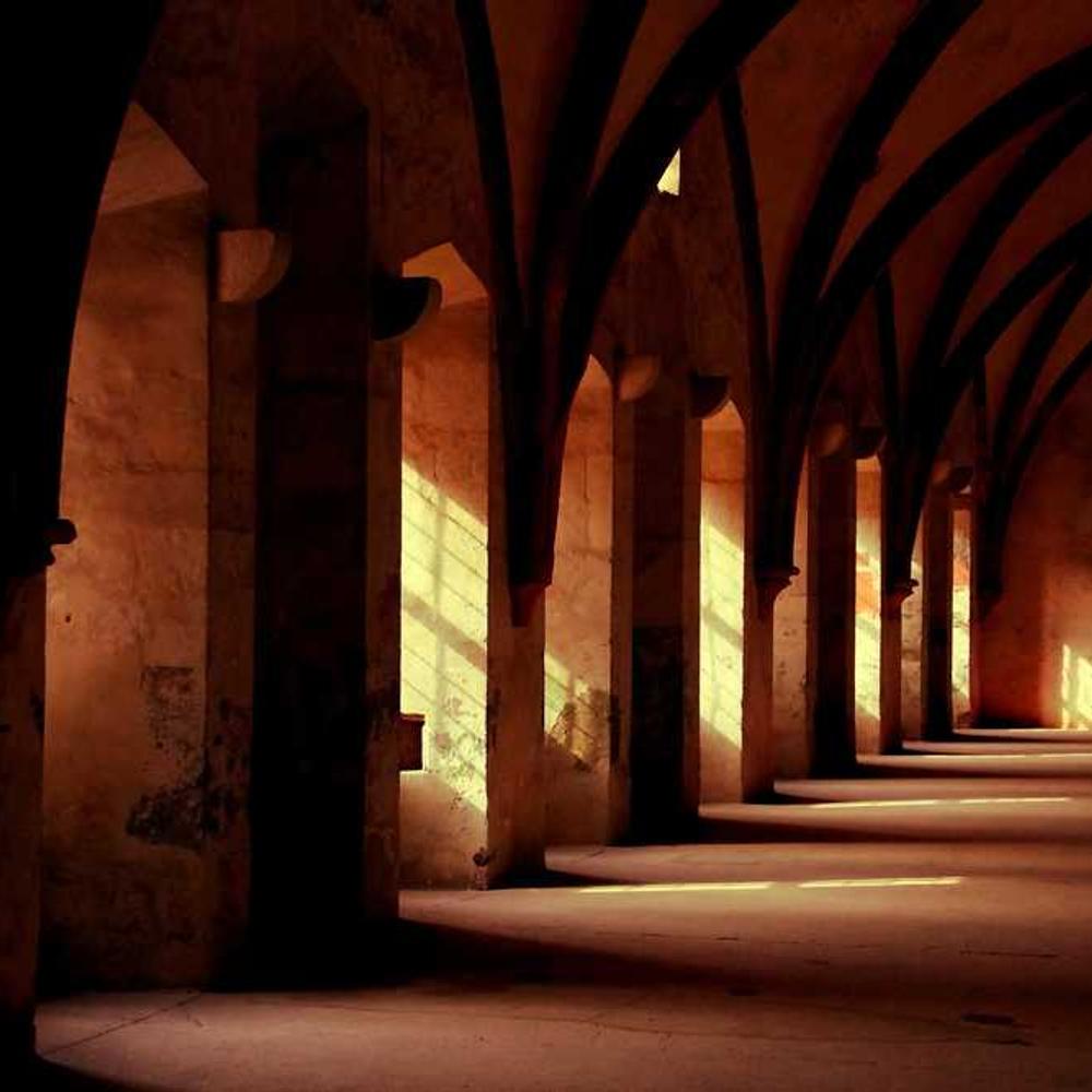 Гібрид кукурудзи МАС 44.А (MAS 44.A) від постачальника Аграрна Платформа