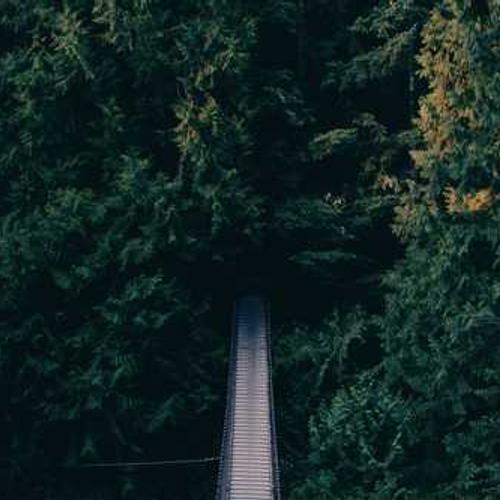 Інсектицид Фуфанон (Fyfanon) від постачальника Аграрна Платформа