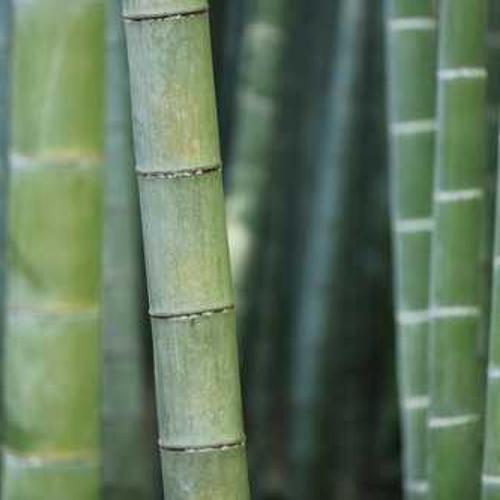 Фунгіцид Квадріс від постачальника Аграрна Платформа