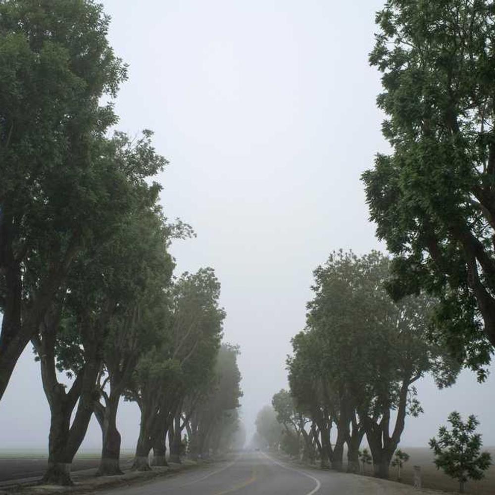 Протруйник Кінто Плюс від постачальника Аграрна Платформа