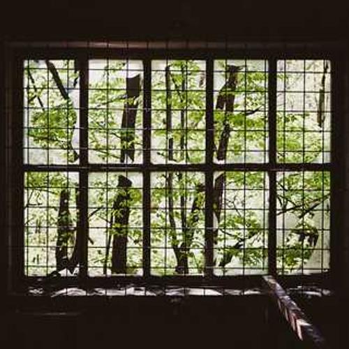 Гербіцид Тітус Екстра від постачальника Аграрна Платформа