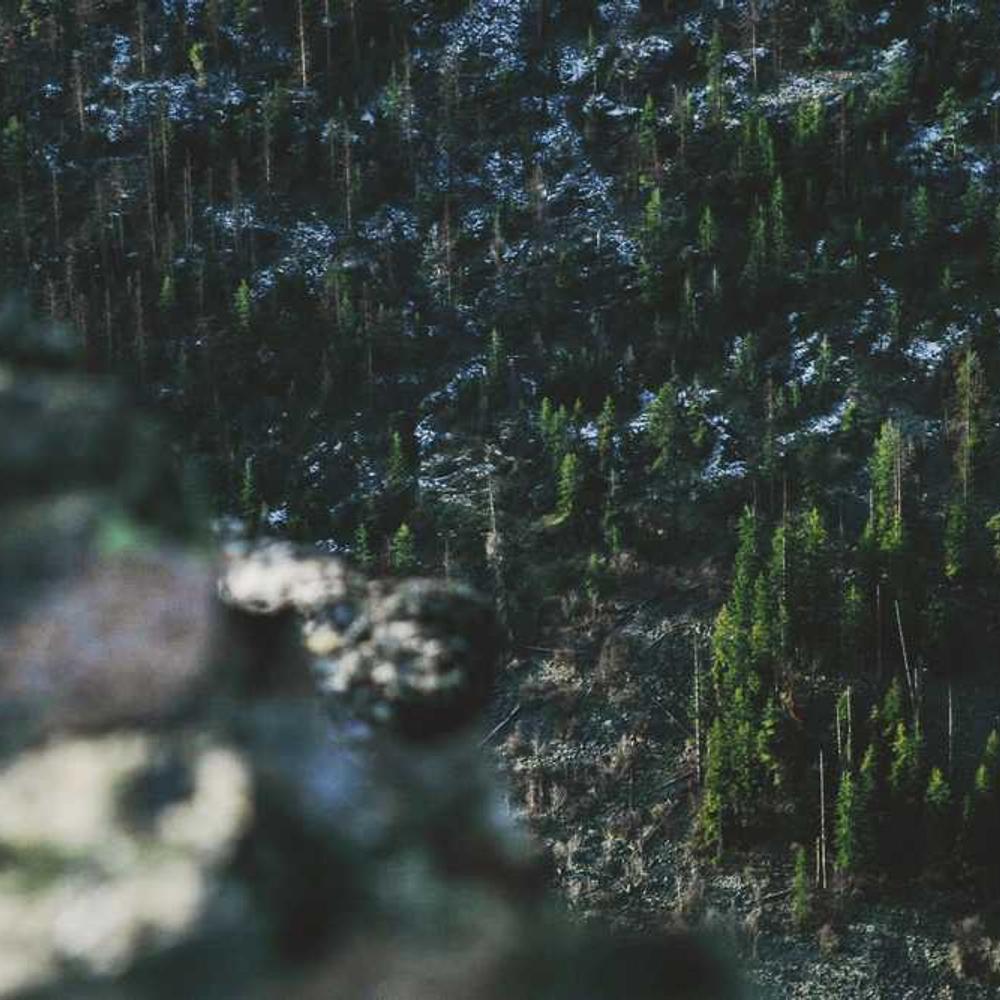 Гербіцид Астрал від постачальника Аграрна Платформа