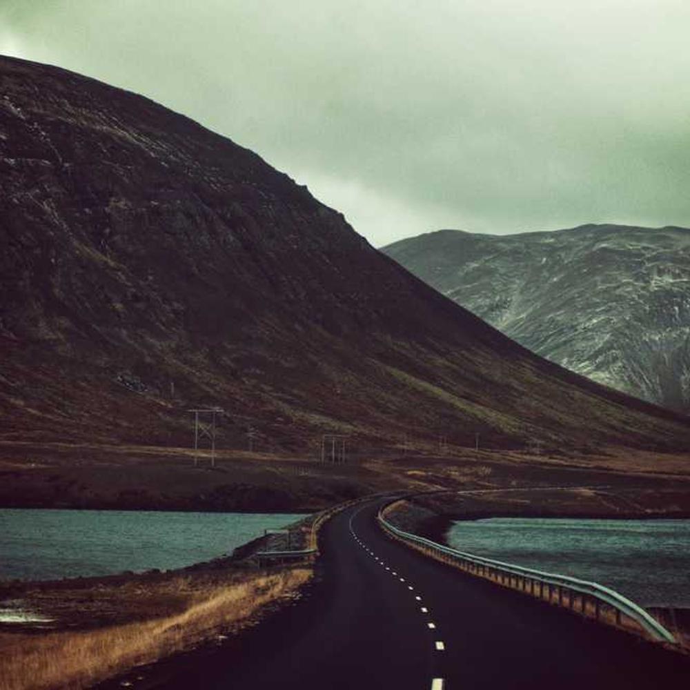 Насіння соняшнику ЛГ 5580 (LG 5580) від постачальника Аграрна Платформа