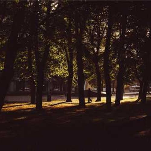 Інсектицид Сумі-Альфа (Sumi-Alpha) від постачальника Аграрна Платформа