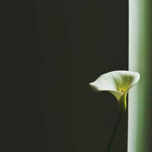 Фунгіцид Амістар Голд від постачальника Аграрна Платформа