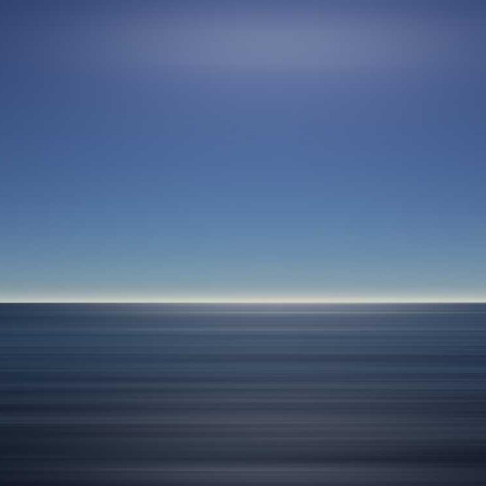 Гібрид кукурудзи НК Термо (NK Termo) від постачальника Аграрна Платформа