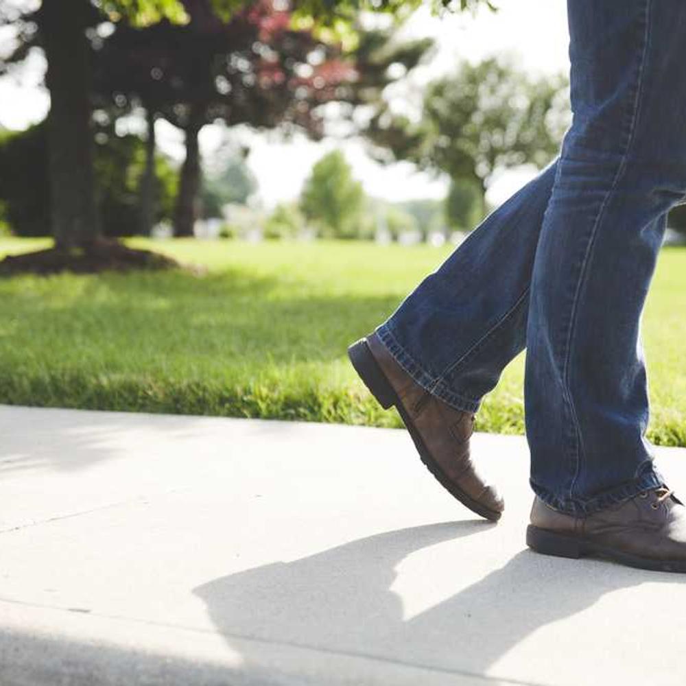 Інсектицид Дантоп від постачальника Аграрна Платформа