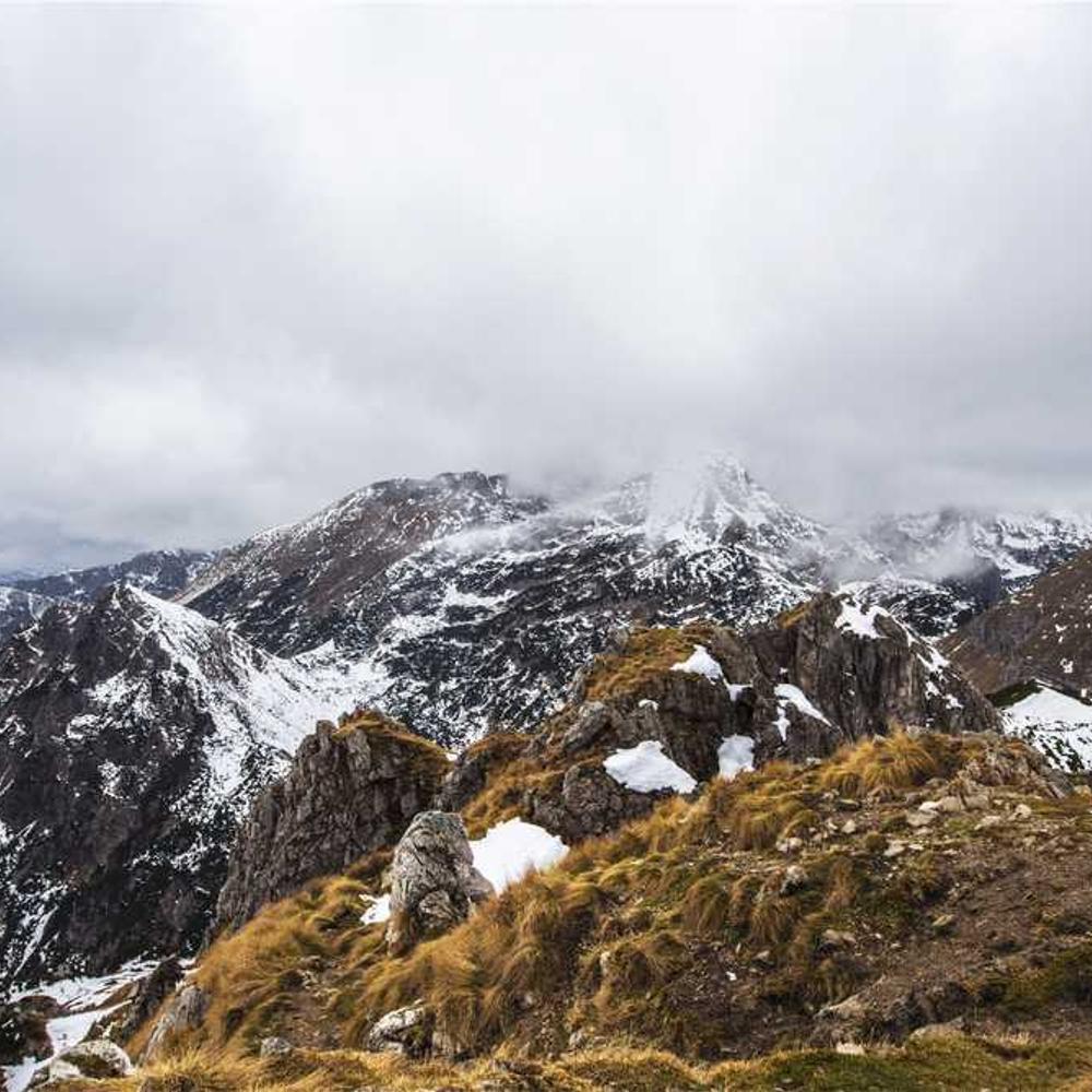 Гербіцид Каптора Плюс від постачальника Аграрна Платформа