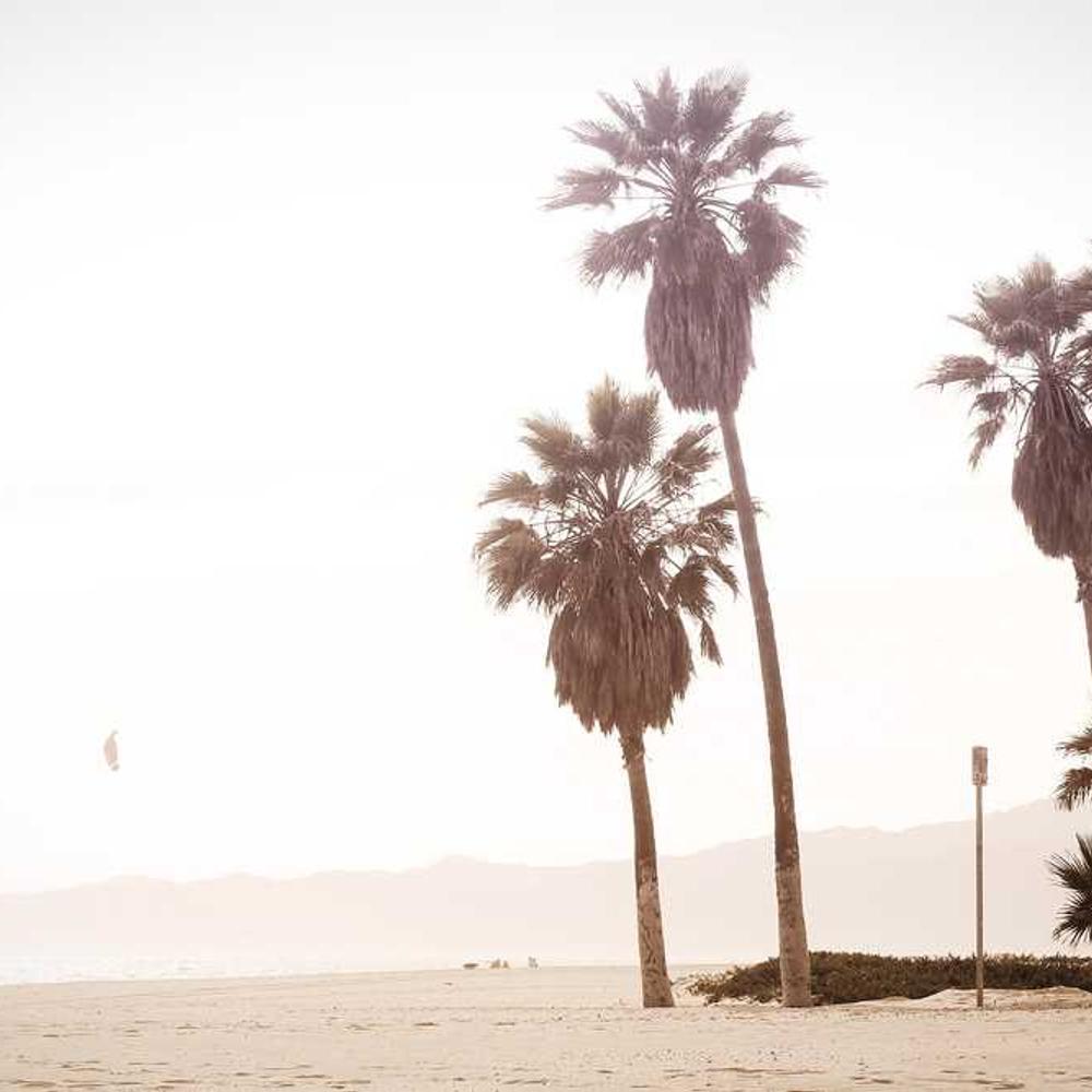 Протруйник Вайбранс Тріо від постачальника Аграрна Платформа