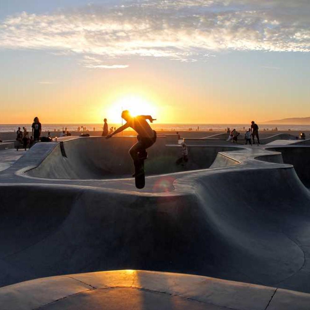 Насіння соняшнику СИ Арізона (SY Arizona) від постачальника Аграрна Платформа